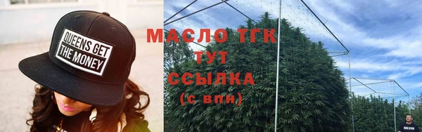 СК Алексин