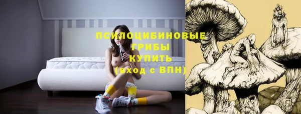 СК Алексин