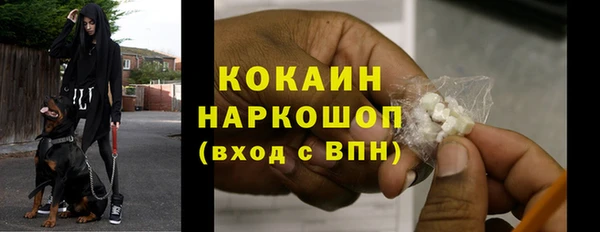 СК Алексин