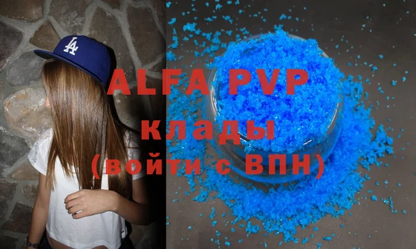 СК Алексин