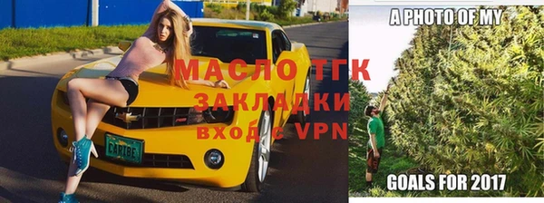 СК Алексин