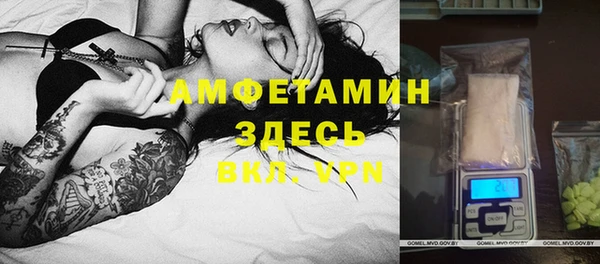СК Алексин